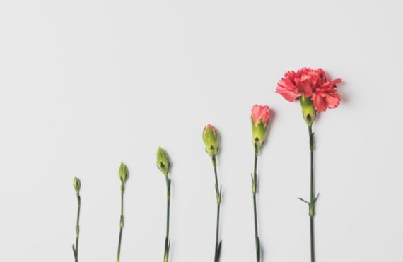 life coaching lifecoaching coaching de vie quimper finistere valerie guichon
